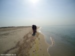 DSC00904