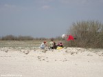DSC00911