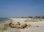 DSC00932