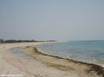 DSC00955