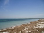 DSC00968