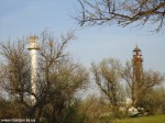 DSC00975