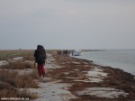 DSC01001