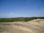 DSC00761