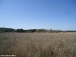 DSC00767