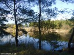 DSC00791