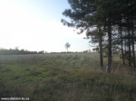 DSC00795