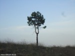 DSC00796
