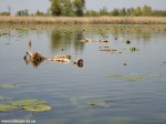 DSC00851