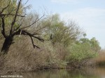 DSC00874