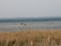 IMG_9103