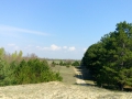 IMG_20170422_110658