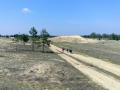 IMG_20170422_142840