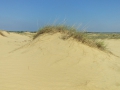 IMG_20170422_143627