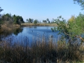 IMG_20170422_150630