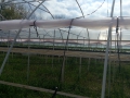 IMG_20170422_160518