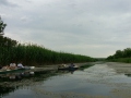 IMG_20170617_154839