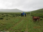 Izobrazhenie2012_112