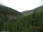 Izobrazhenie2012_118