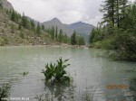 Izobrazhenie2012_151