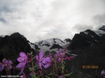 Izobrazhenie2012_197
