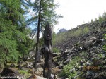 Izobrazhenie2012_214
