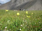 Izobrazhenie2012_234
