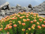 Izobrazhenie2012_268