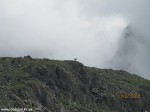 Izobrazhenie2012_307