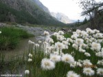 Izobrazhenie2012_335