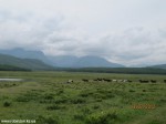 Izobrazhenie2012_357