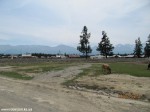 Izobrazhenie2012_487