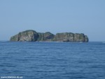 Izobrazhenie026