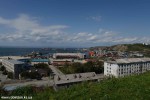 DSC_2273_komprim