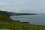 DSC_2628_komprim