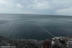DSC_2667_komprim