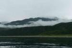 DSC_2776_komprim