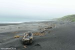 DSC_2860_komprim
