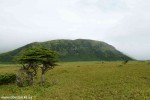 DSC_2868_komprim