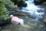 DSC_2996_komprim