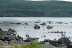 DSC_3045_komprim