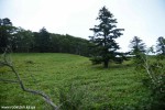 DSC_3417_komprim