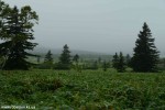 DSC_3519_komprim
