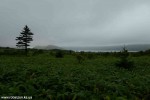 DSC_3545_komprim