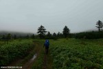 DSC_3548_komprim