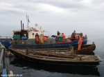 Izobrazhenie363