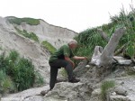 Izobrazhenie445