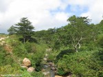 Izobrazhenie719