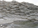Izobrazhenie1071