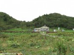 Izobrazhenie868